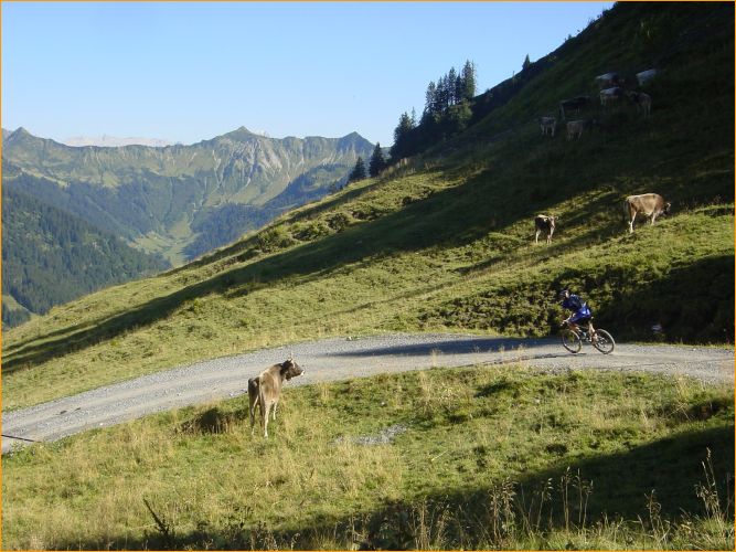 zweite kurze abfahrt